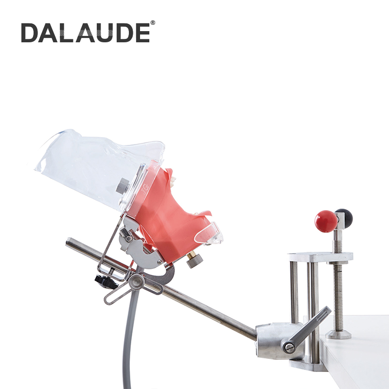 Dental Phantom Head DA-C6