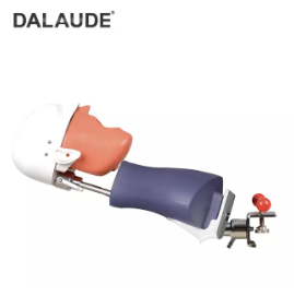 What Is The Use of Simulation Technology in Dental Education?
