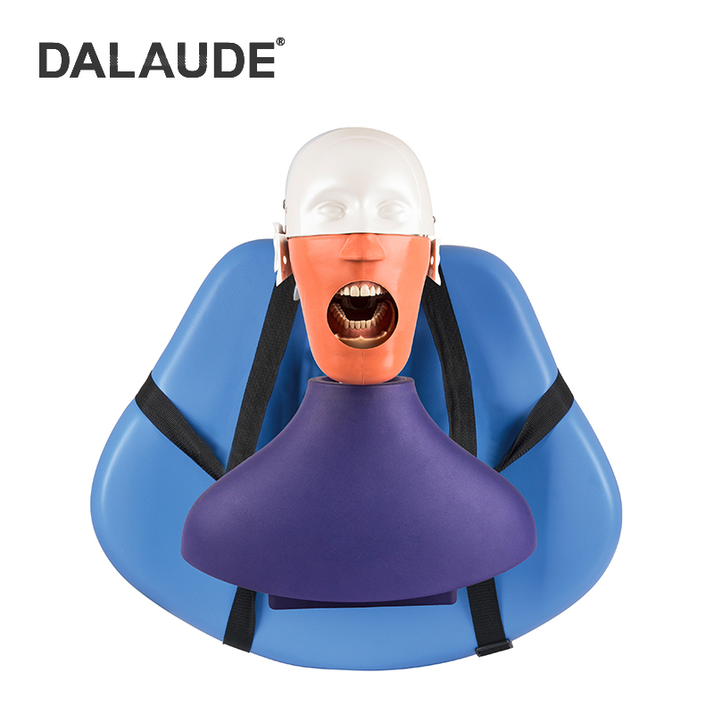 Dental Phantom Head DA-C3