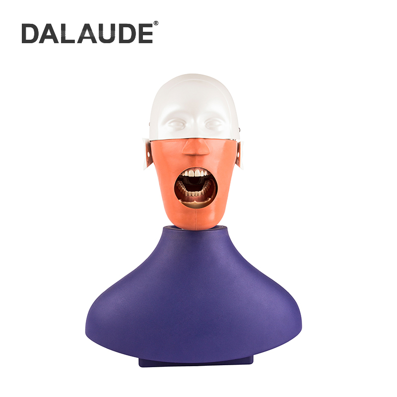 Dental Phantom Head DA-C2