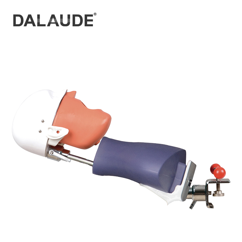 Dental Phantom Head DA-C1