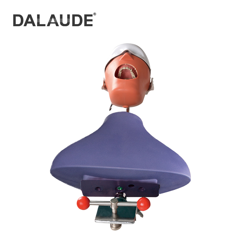 Dental Phantom Head DA-C1