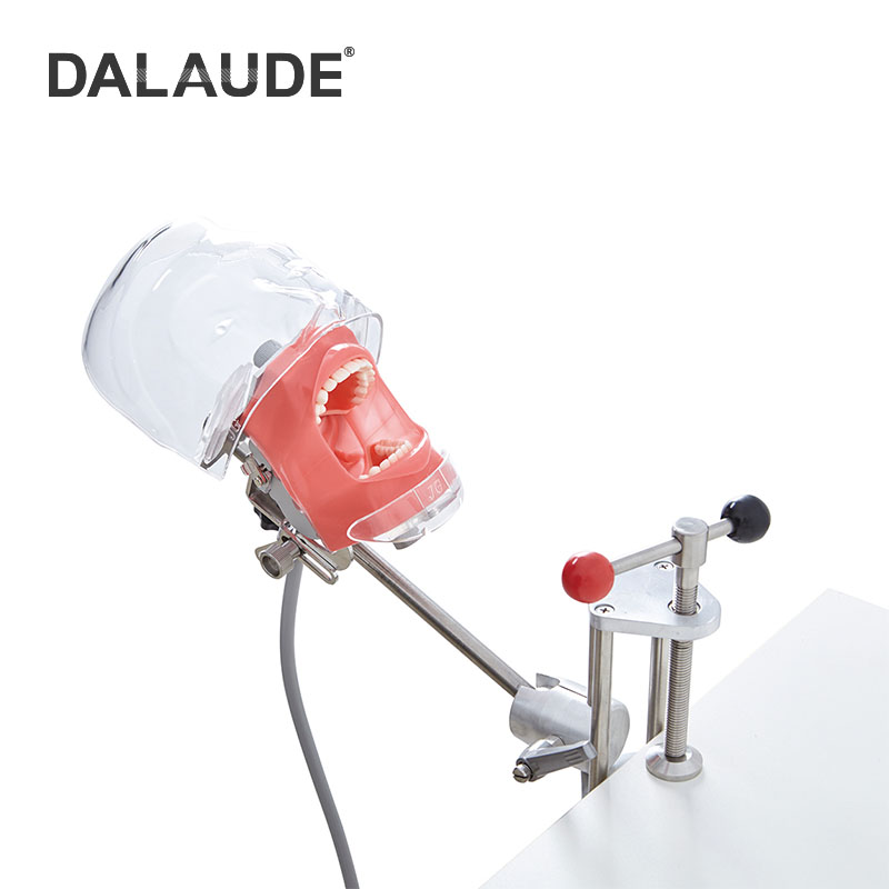 Dental Phantom Head DA-C6