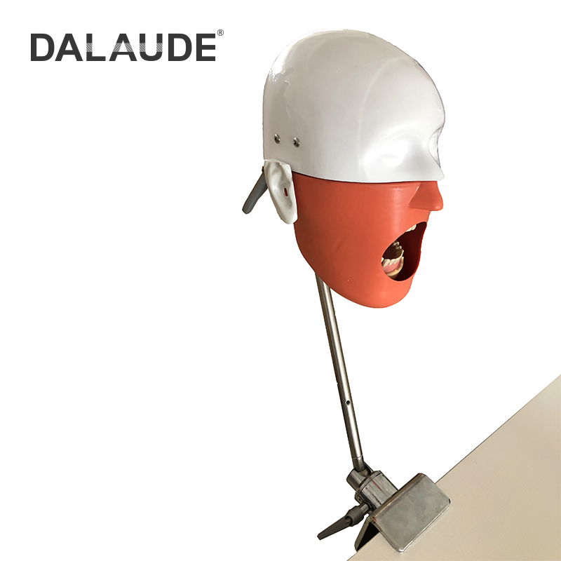 Dental Phantom Head DA-C5