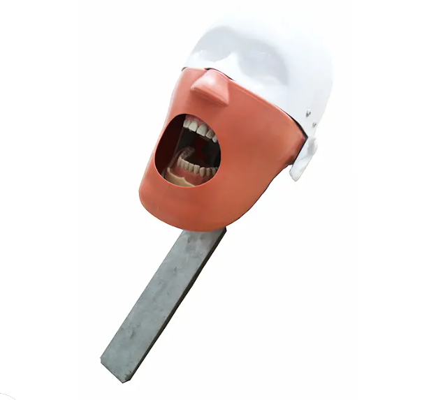 DA-C4 Chair-Insertable Dental Phantom Head Simulation Module