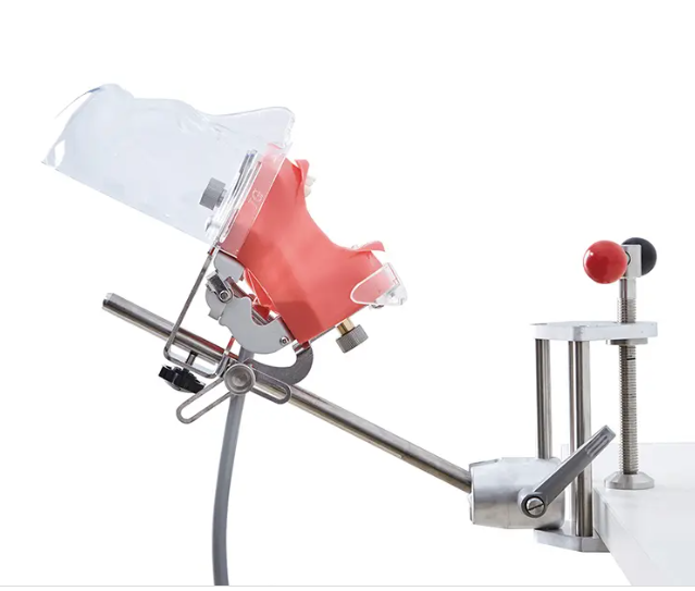 DA-C6 Mask-Equipped Dental Phantom Head Education Module