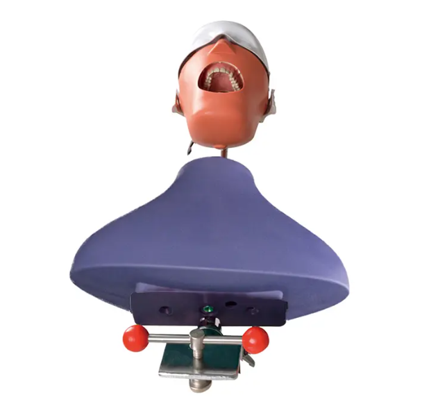 Dental Phantom Head DA-C1