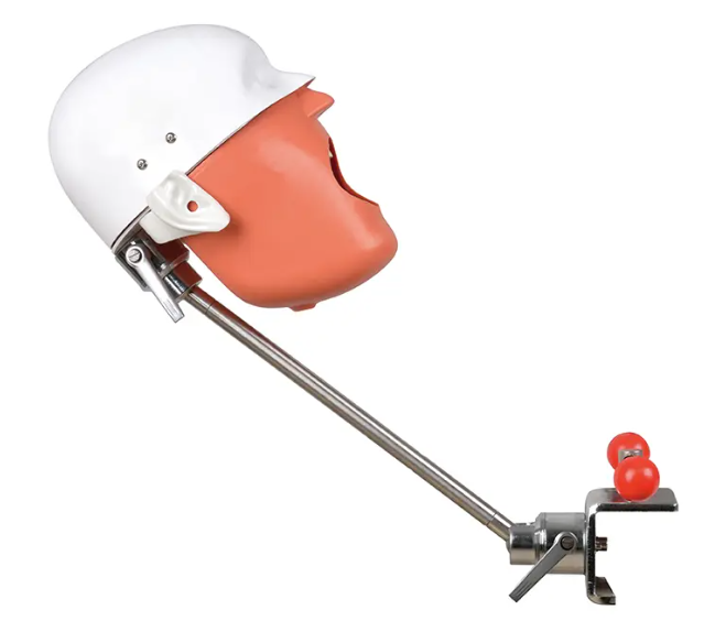DA-C5 Workbench-Mounted Dental Phantom Head Education Station